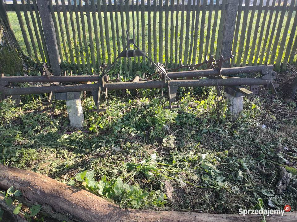 Sprzedam brony 5 Pozostałe Olesno