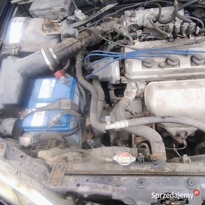 Honda Accord Warszawa