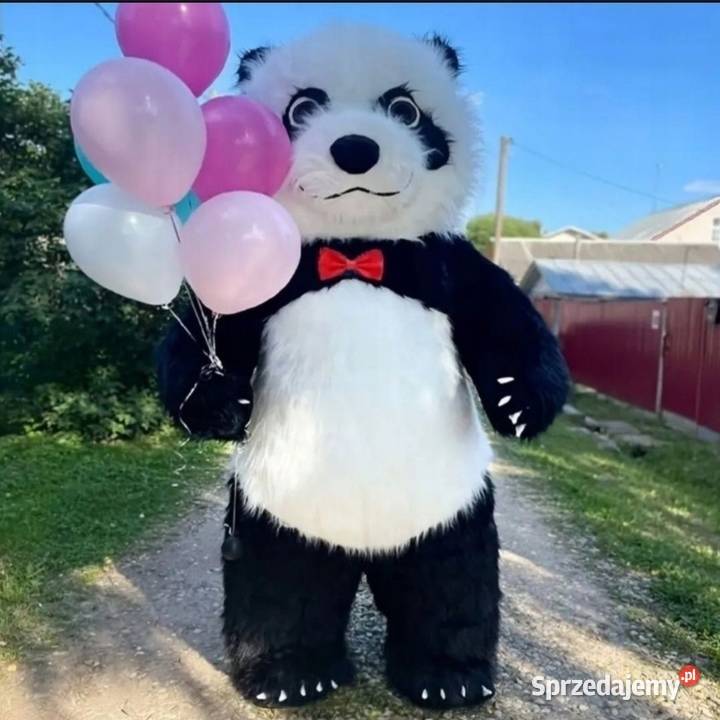 Panda miś kostium dmuchany 25m z BATERIĄ Sochaczew sprzedam