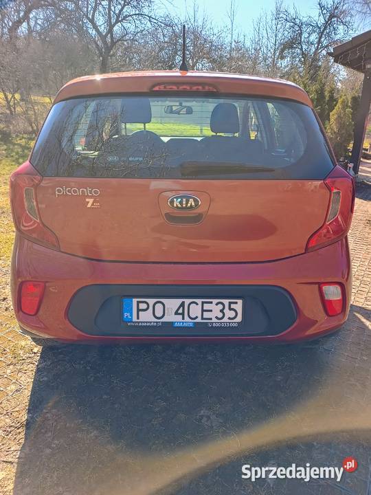 KIA PICANTO 2017 r POLSKI SALON BEZWYPADKOWY Kamieniec Ząbkowicki