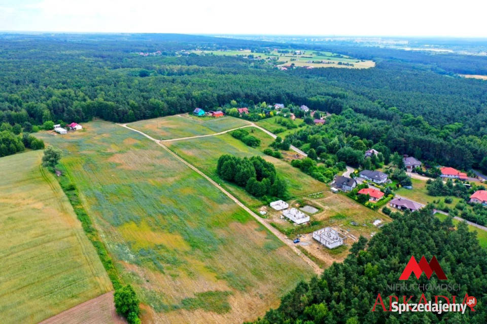 sprzedaży działki Nowy Witoszyn 3637m2 kujawsko-pomorskie
