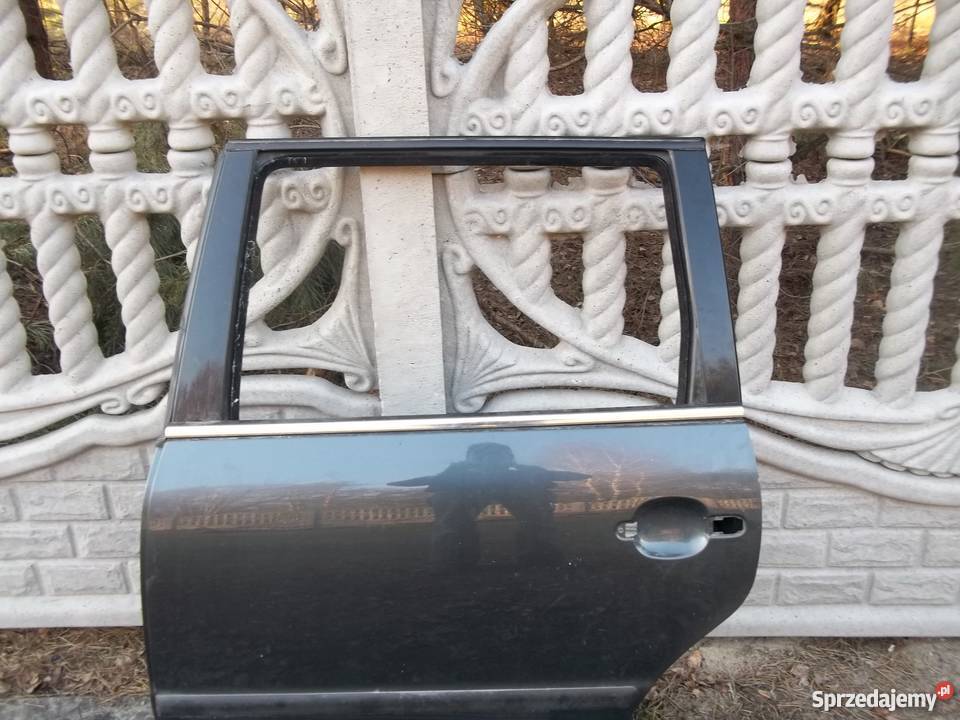 vw passat drzwi