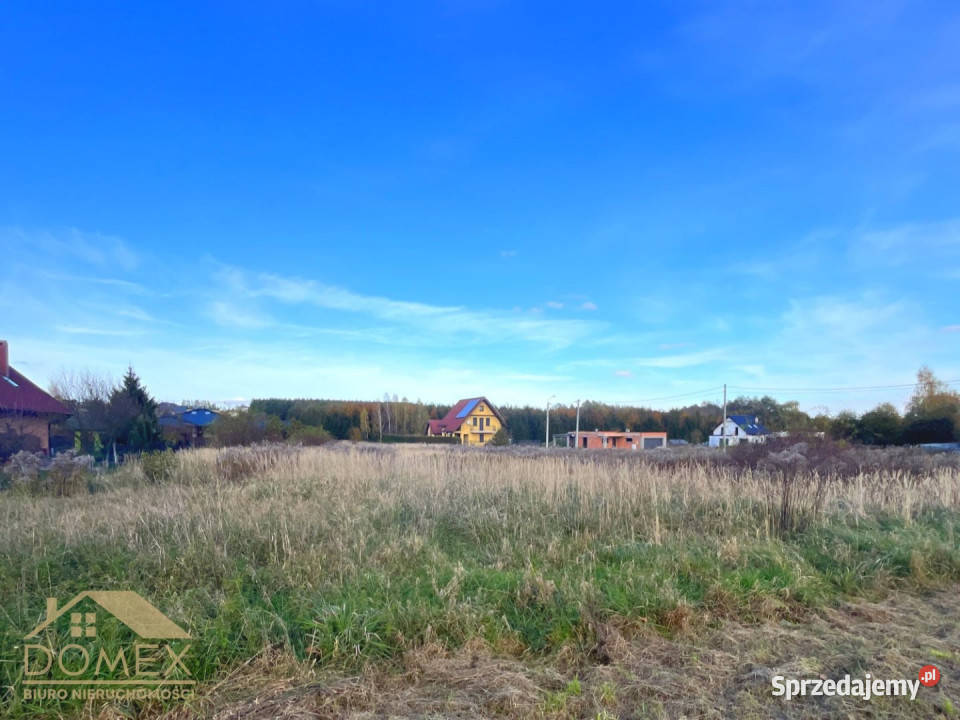 Ogłoszenie działka 1238m2 Gorzyczki śląskie