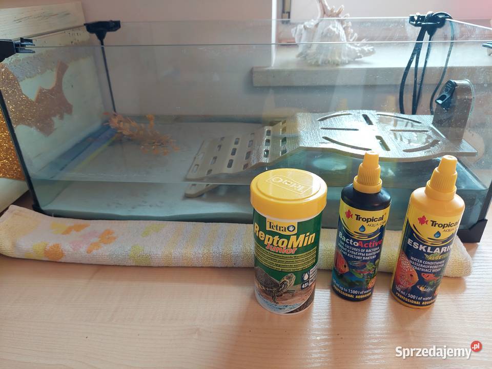 Żółw wodno lądowy z wyposażonym terrarium Tarnów