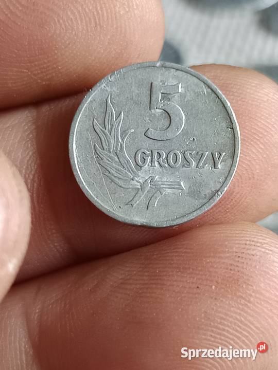 Sprzedam 5 groszy 1958 nn Chełm