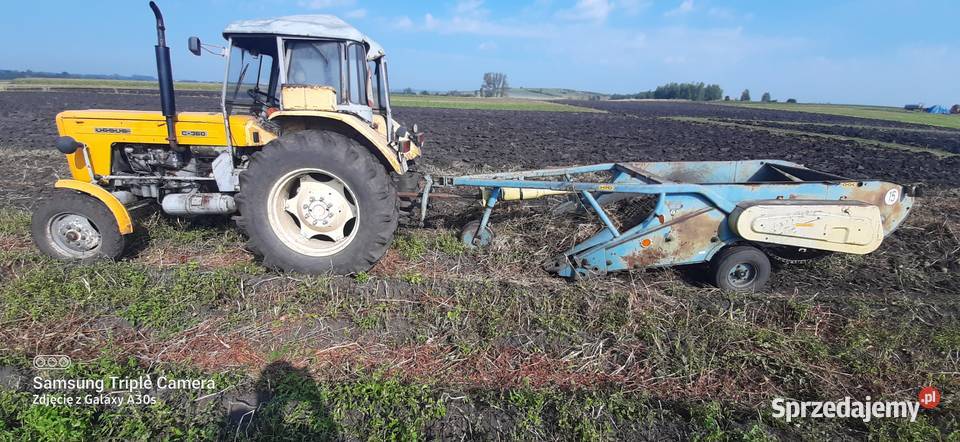 Kopaczka do ziemniaków marki Anna nieuszkodzony Skotniki Duże