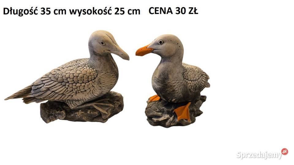 Mewa gipsowa ptaki gipsowe gąska papuga gołab dolnośląskie Wrocław