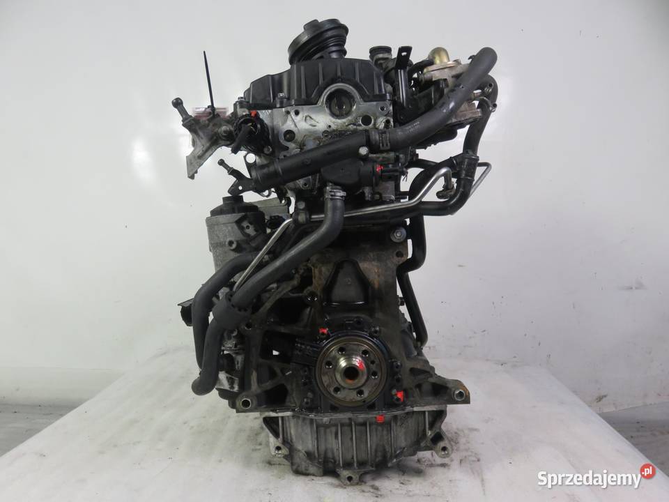SILNIK VW PASSAT B6 19 TDI PD 105 BKC KOMPLETNY
