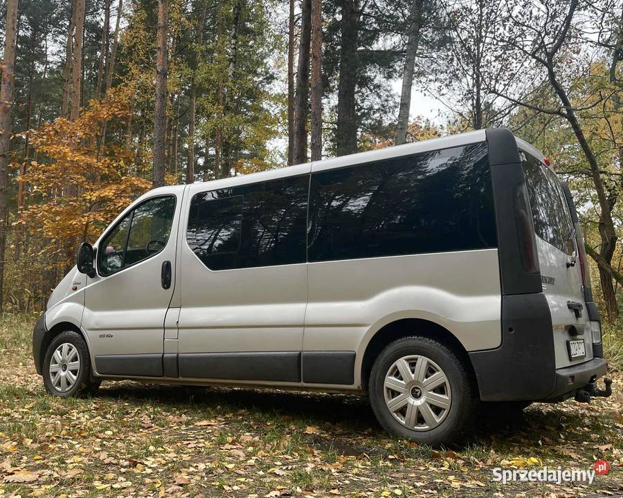 Renault Trafic 25DCI Long hak 9osob dolnośląskie Węgliniec