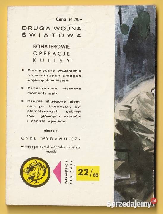 ŻÓŁTY TYGRYS NOC WIELKIEJ RADY 1988 Rok wydania 1988 sprzedam