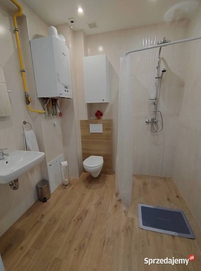 Apartament w uzdrowiskowym Nałęczowie na Liczba pokoi 1 lubelskie Nałęczów
