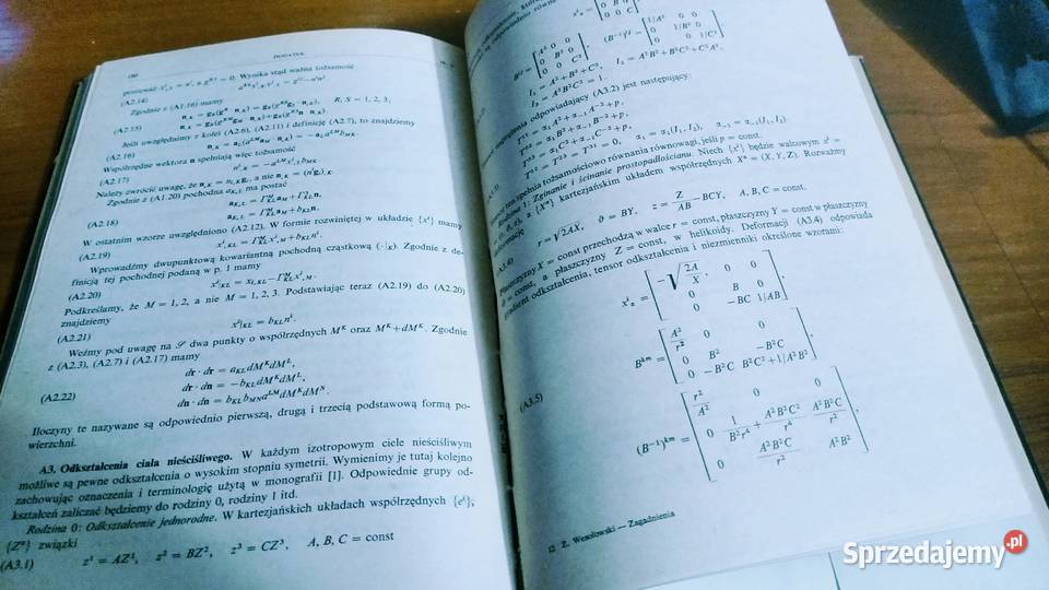 Zagadnienia dynamiczne nieliniowej teorii