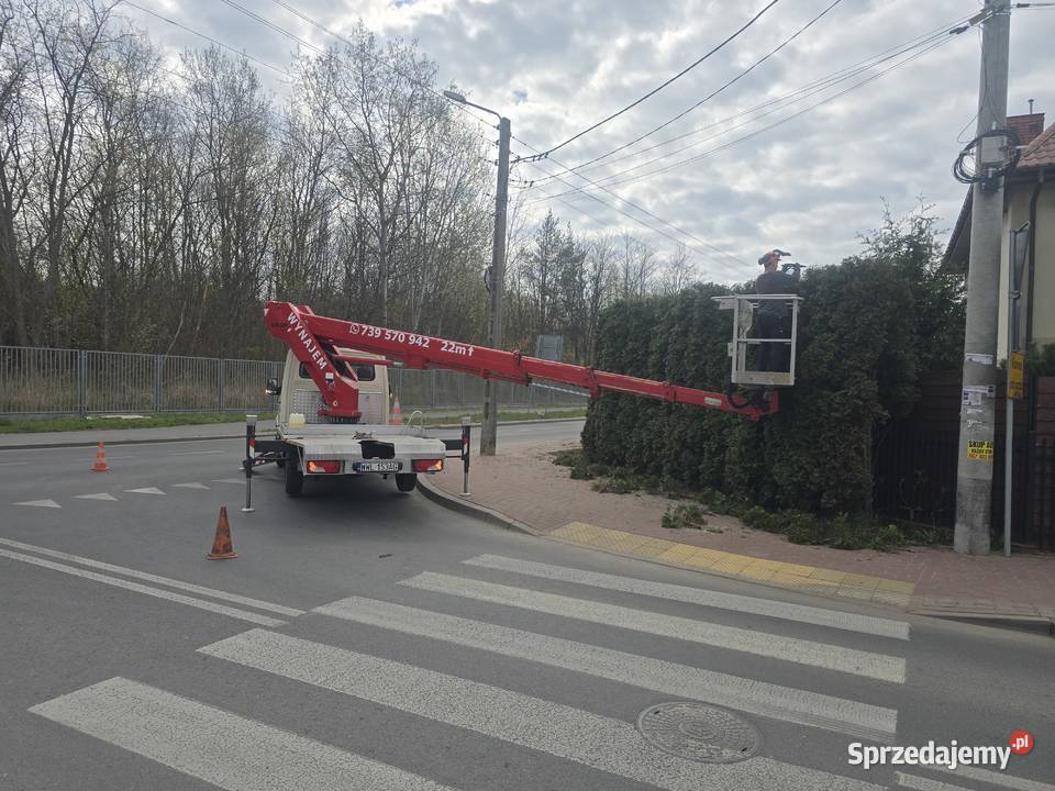 Wycinka Drzew Warszawa Pielęgnacja Drzew i