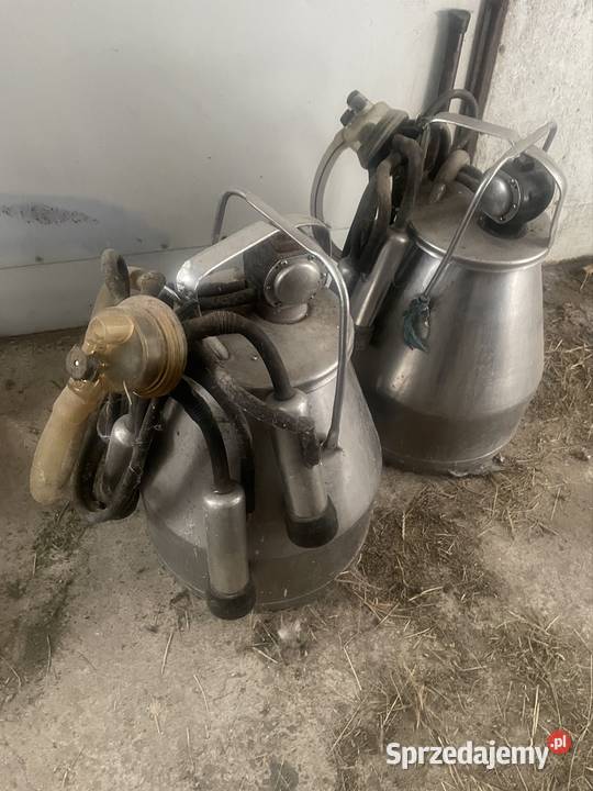 Konwie 2 Głowno