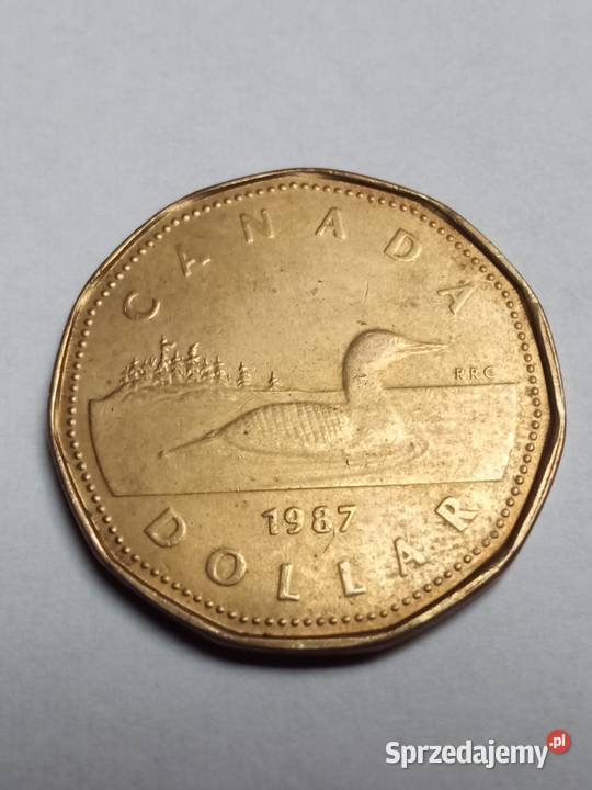 Canada 1 Dollar z 1987 Świdnica sprzedam
