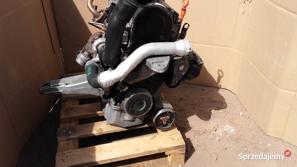 Silnik Volkswagen T5 19 TDI AXB 105 dostawcze Gniewkowo sprzedam