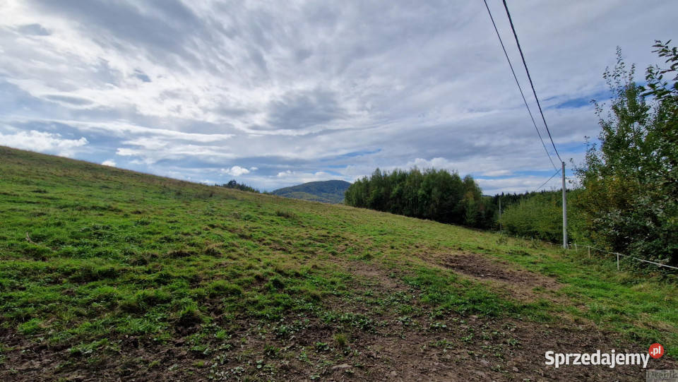 sprzedaży gruntu Zegartowice 19800m2