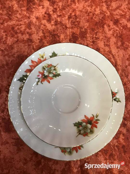 Filizanka Retsch Wunsiedel poinsecja świętokrzyskie Kielce