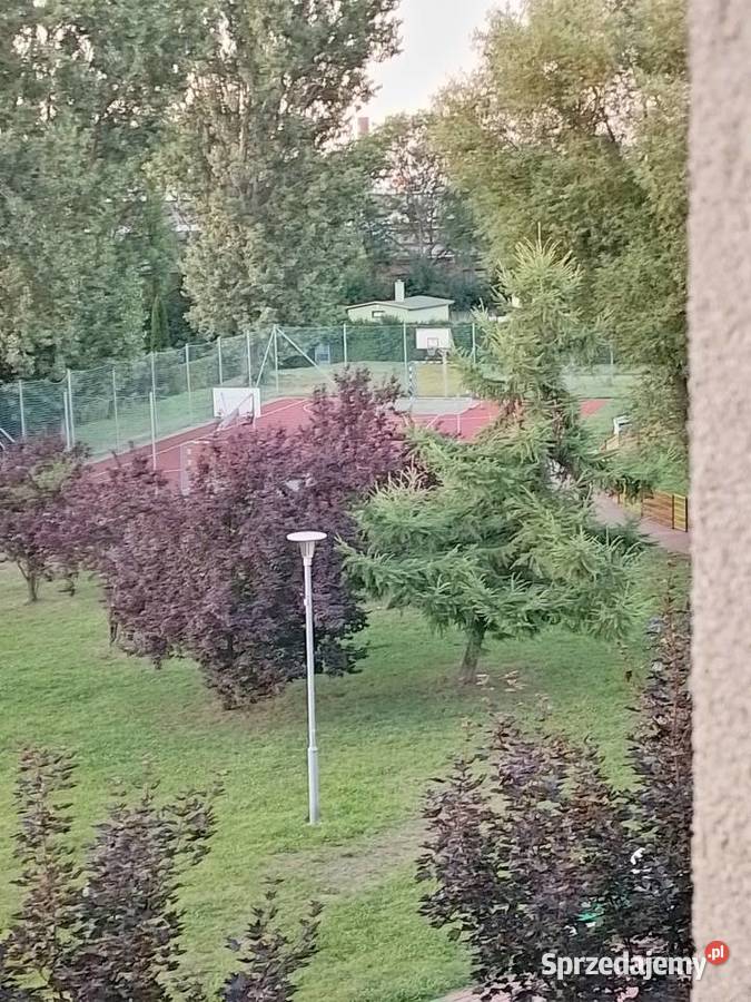 Sprzedaz Najlepsze z posrod najlepszych 6662 m2 Sprzedaż Chorzów