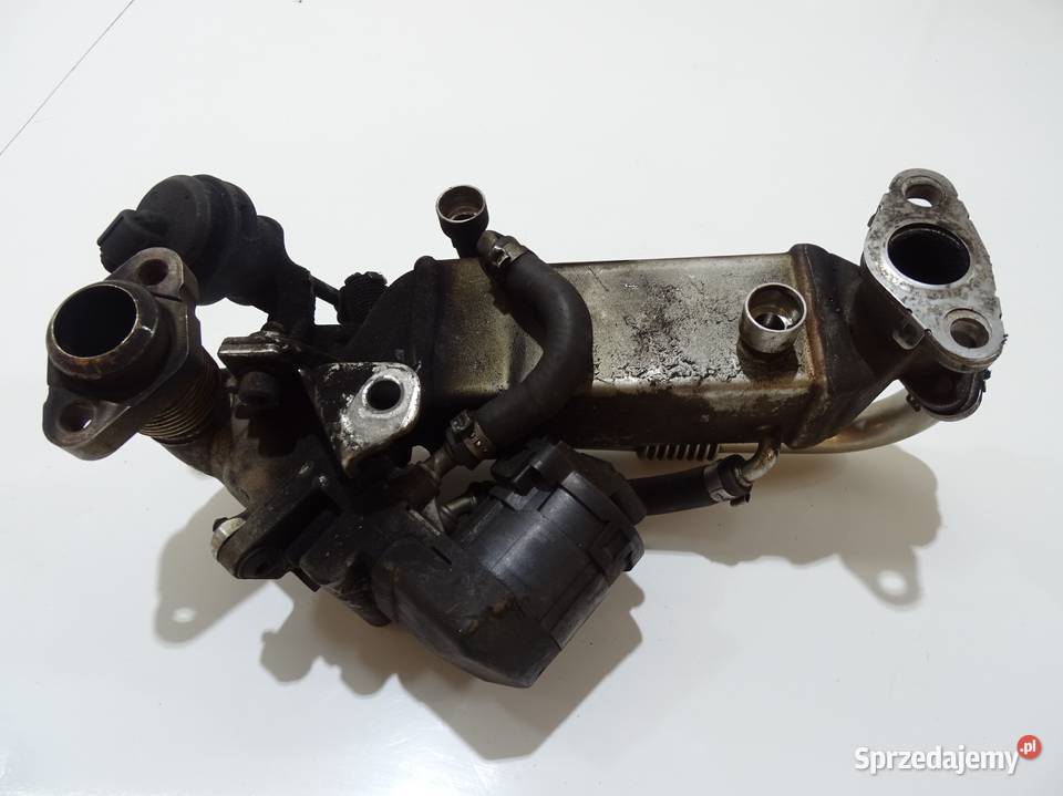 CHŁODNICA SPALIN EGR BMW X3 E83 N47D20C 20D lubelskie Strzyżewice sprzedam
