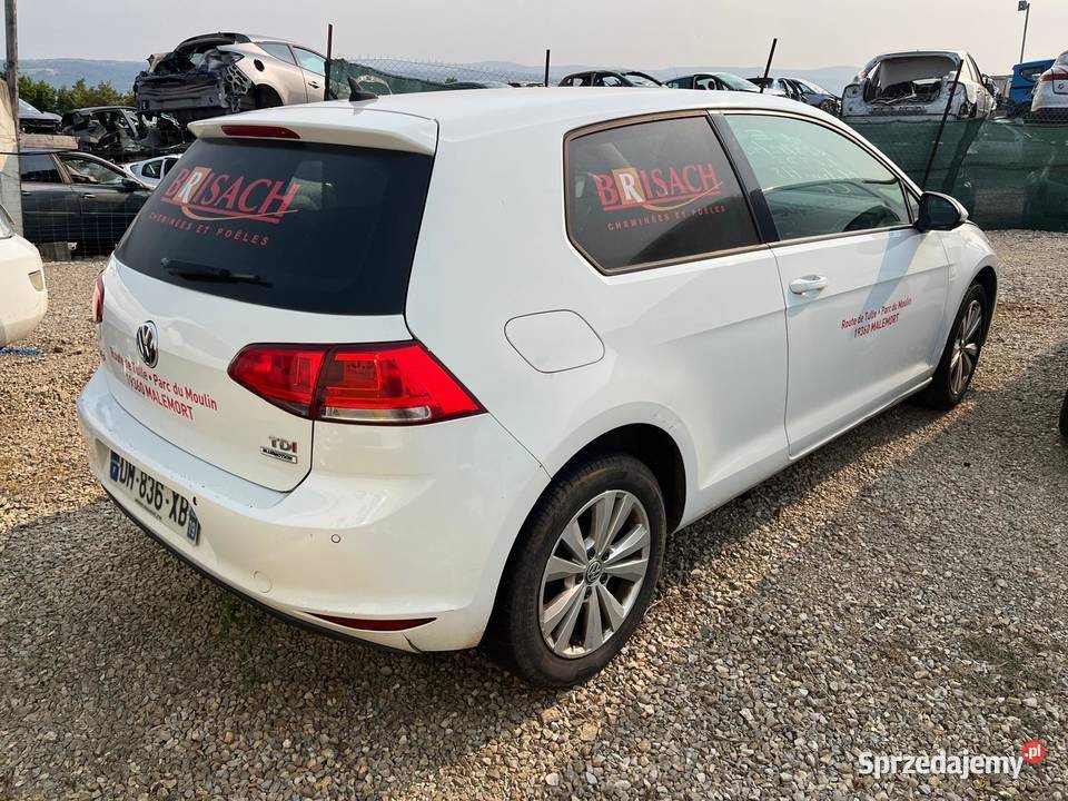 VOLKSWAGEN Golf VII 16 TDI 105 BlueMotion CTTE Golf Wrocław