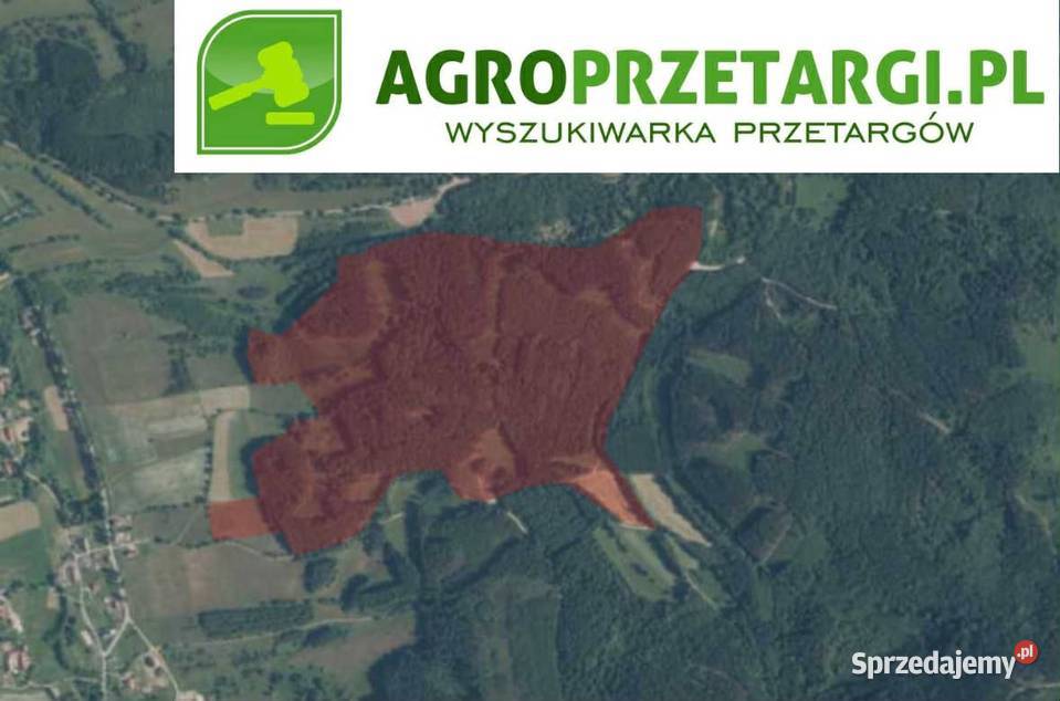 Dzierżawa 767 ha gruntu rolnego Wałbrzych