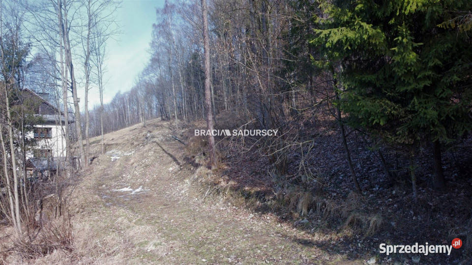 Sprzedaż gruntu 30000m2 Stryszawa 200m sprzedam