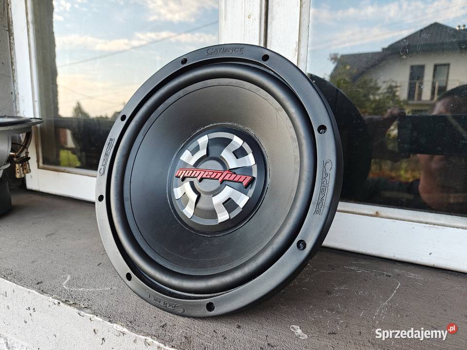 Głośnik bassowy basowy niskotonowy 10 25 250mm Niegowonice sprzedam