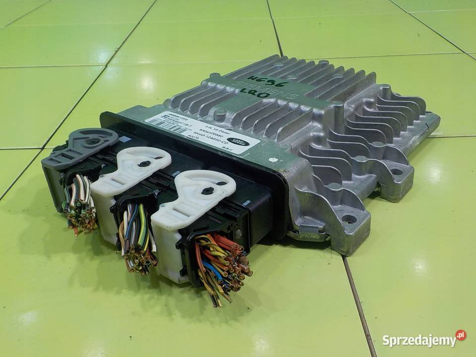 RANGE ROVER L322 36 TD V8 06r 5D sterownik osobowe Suków