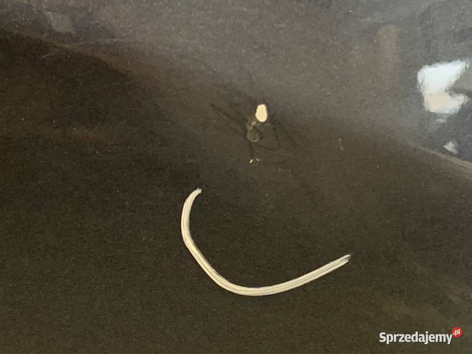 DRZWI PRAWY TYŁ 42B MAZDA CX5 Hatchback 1117 42B Karoseria