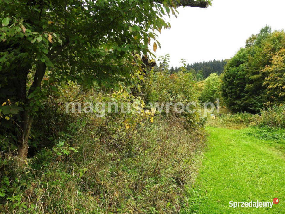 Działka budowlana dolnośląskie Łomnica