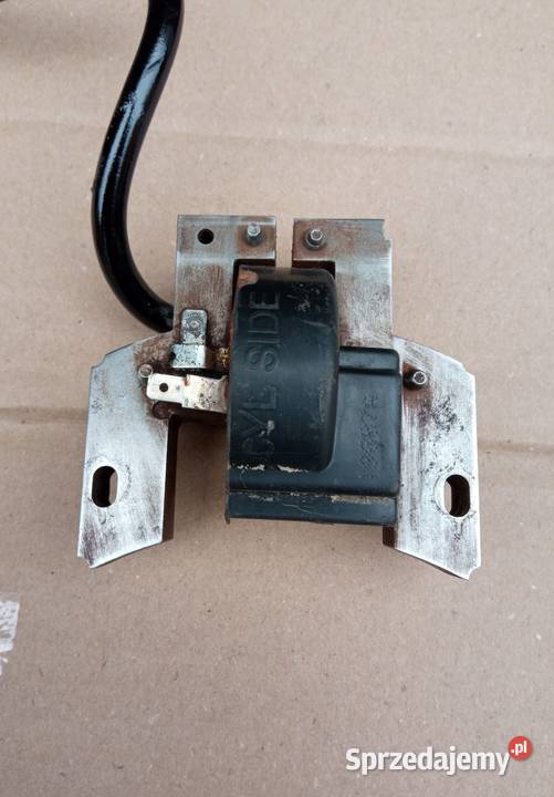 Cewka Briggs straton 500 series Stalowa Wola sprzedam