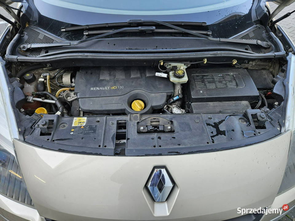 Renault Scenic Nawigacja Skórz tapicerka III Rybnik