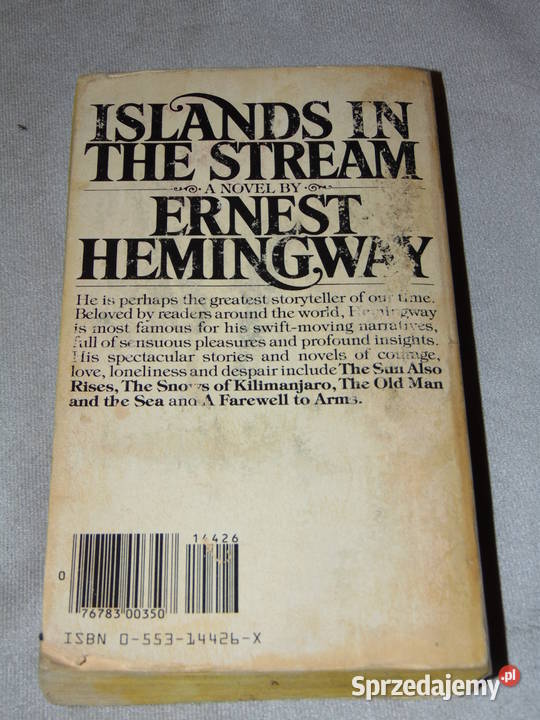 Islands in the Sea Ernest Hemingway Wody na lubelskie Lublin
