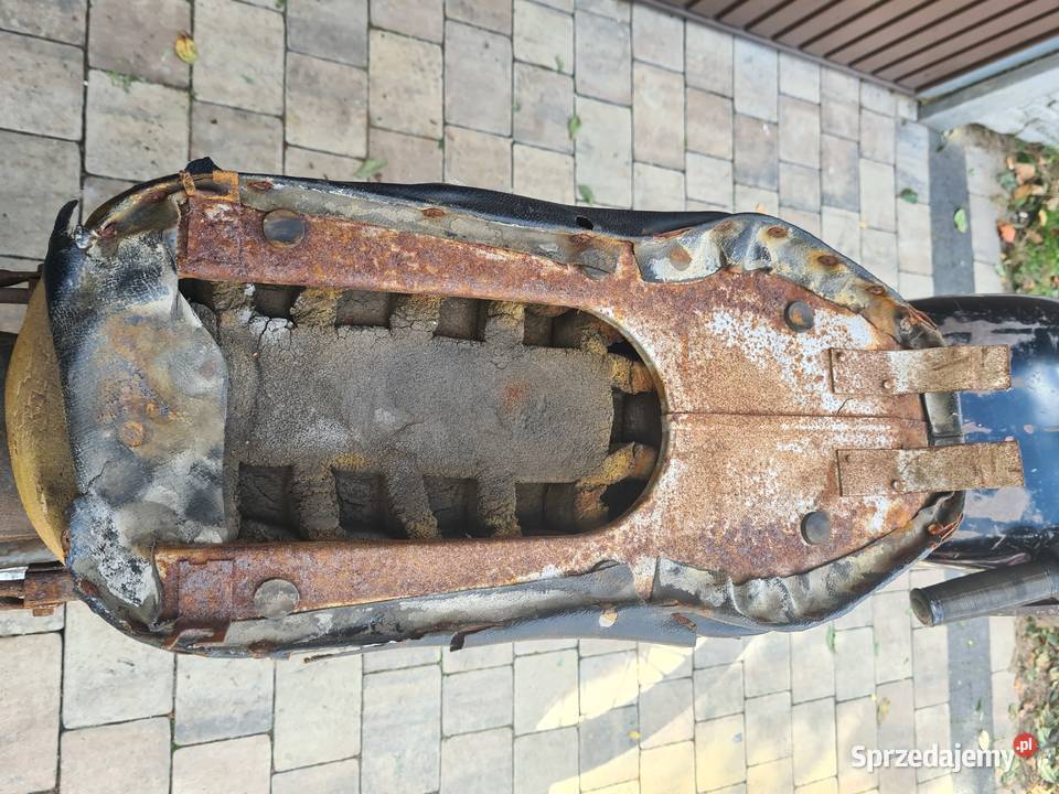 Wsk Z2 Eksportowa żaba