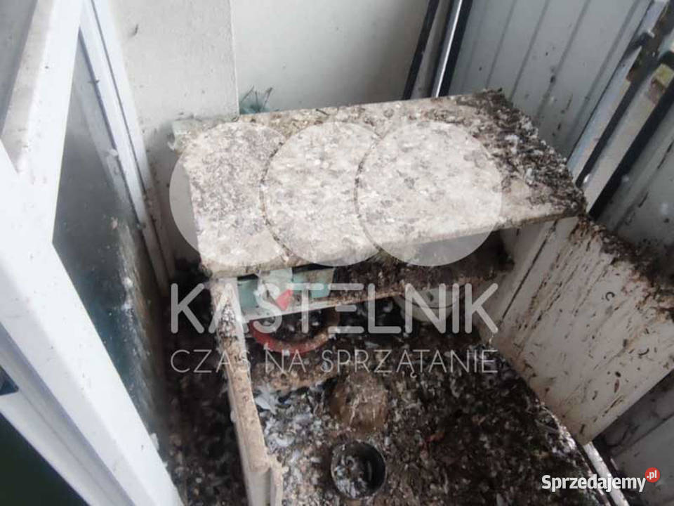 Sprzątanie gołębiach Mława Kastelnik mycie