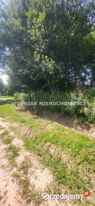 Działka Mieroszów 1900m2 asfalt