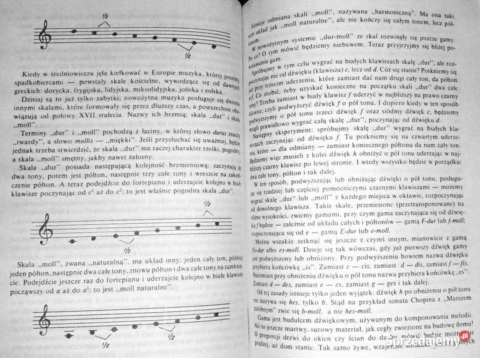 Sekrety Polihymnii Jerzy Waldorff miękka Chełm