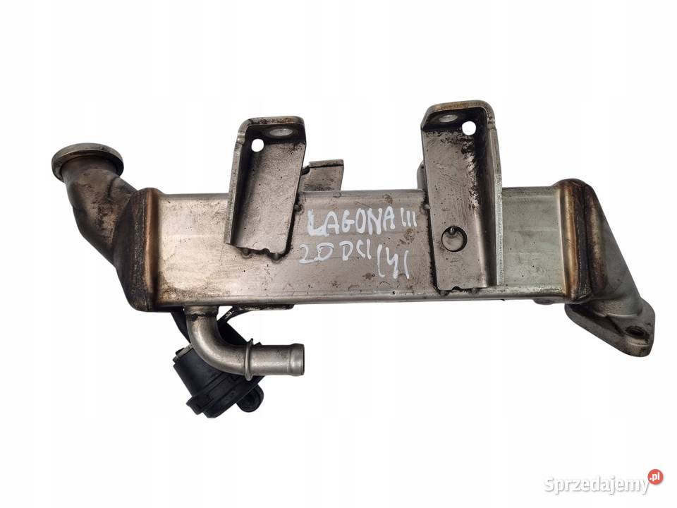 CHŁODNICA SPALIN EGR Renault Scenic III 20 dCi Recyrkulacja spalin EGR lubelskie