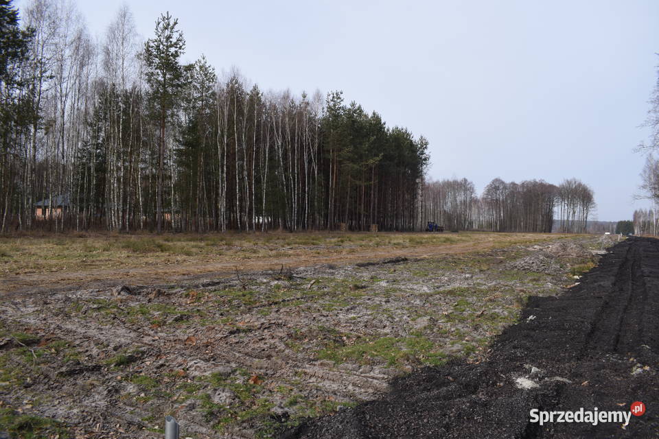 Działki 10a w otoczeniu lasu Widełka sprzedam