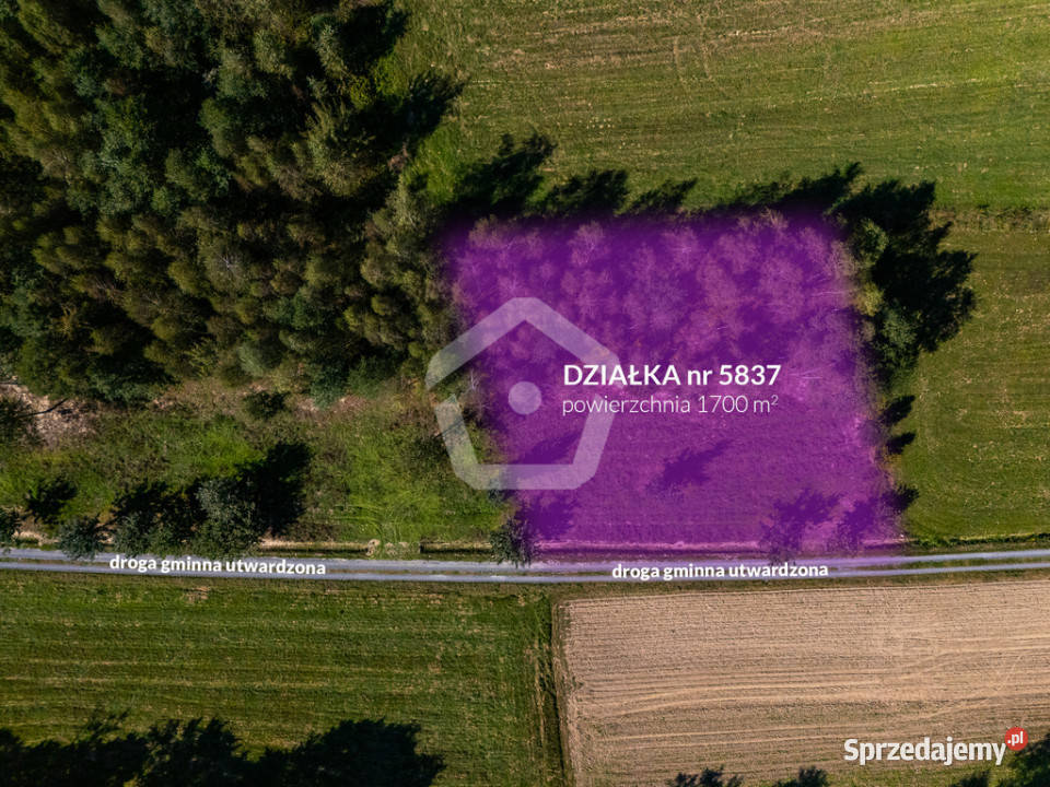 Działka lesie z WZ 34 ar 16 ar las Zagorzyce