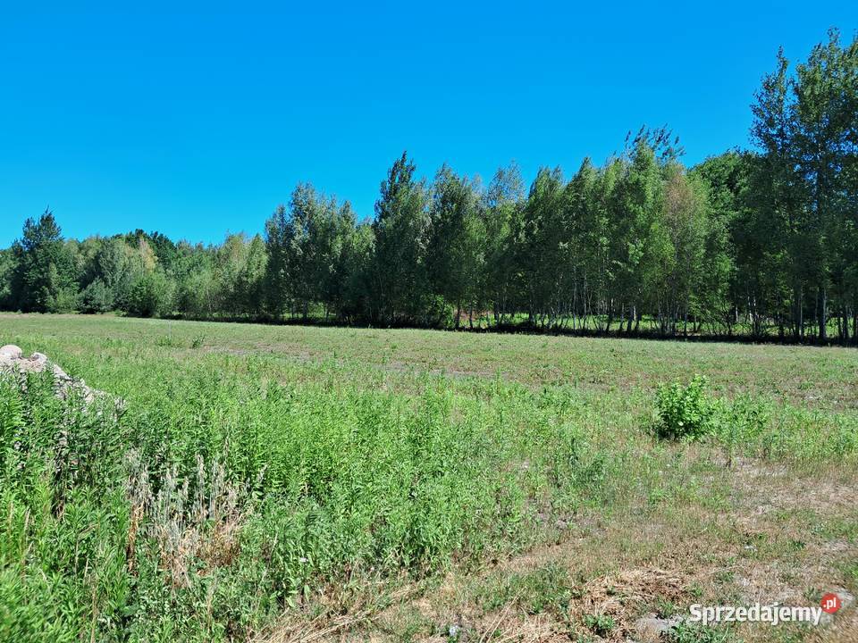 SPRZEDAM DZIAŁKI Biały Ług