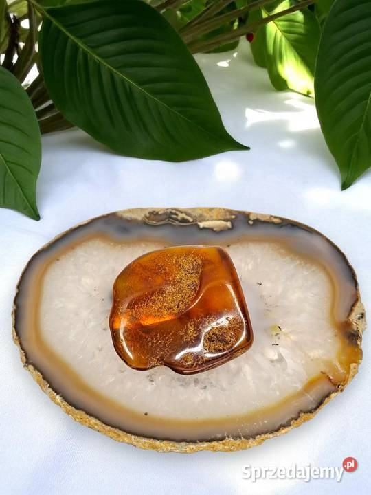 Broszka z bursztynu bursztyn bryłka 1498 mazowieckie Warszawa