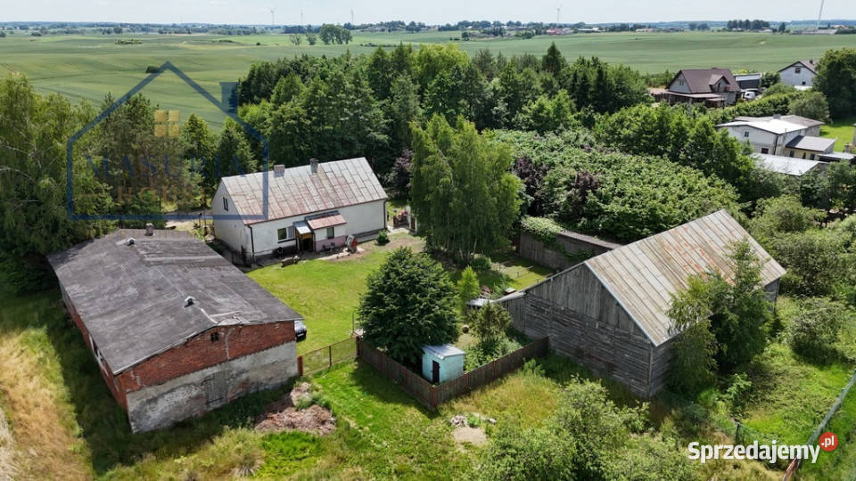 Wyjątkowe siedlisko pod lasem asfalt Sprzedaż Jędrychowo sprzedam
