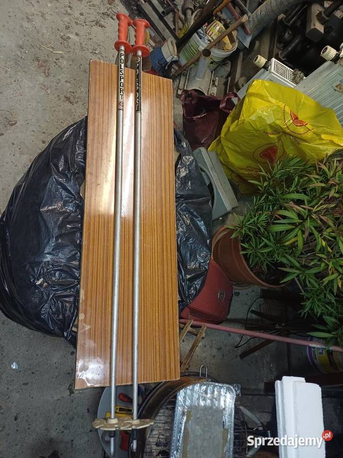 Narty zjazdowe firmy Fischer Rs Sport zestaw Tuszyn