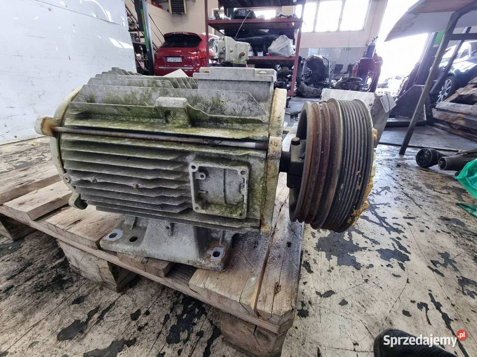 SILNIK ELEKTRYCZNY THERMO KING TS500 osobowe Lipno sprzedam