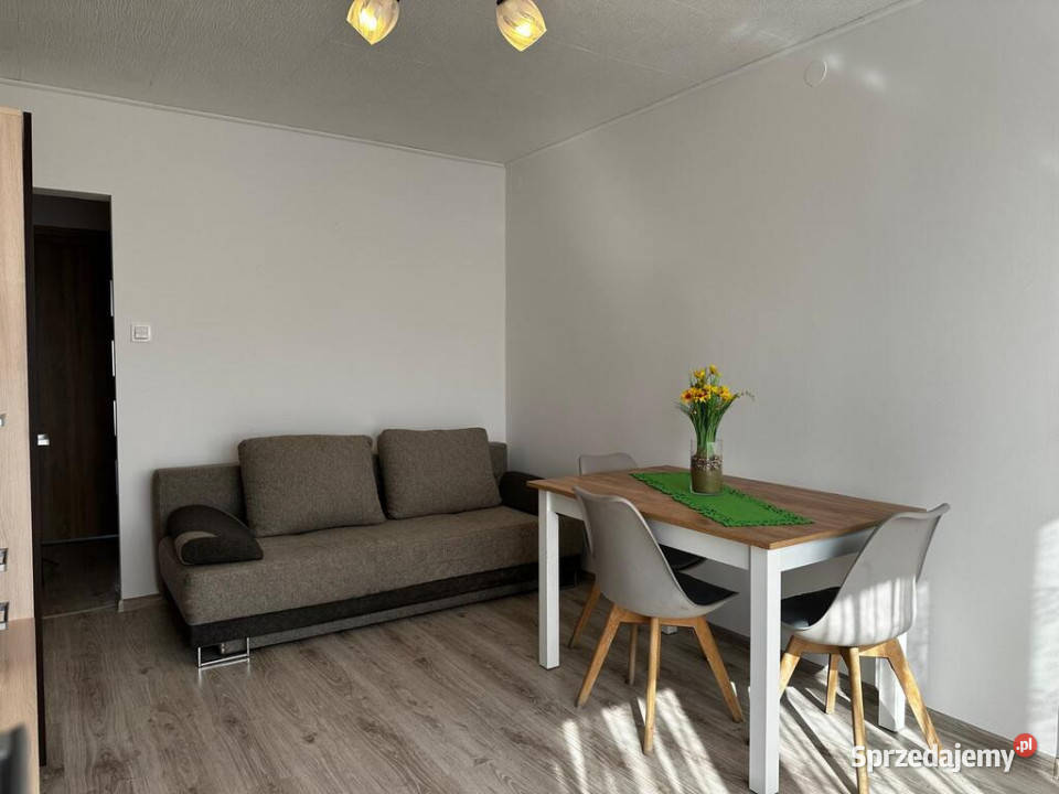 Na sprzedaż 3 pokoje remoncie 4815 m2 piwnica