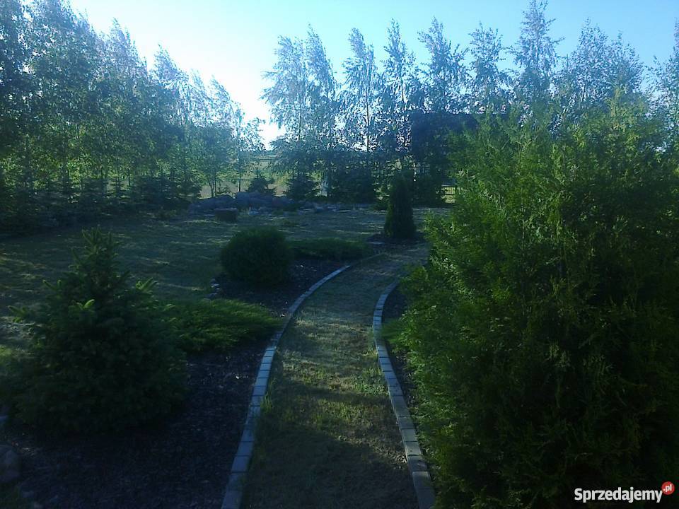 Sprzedam działkę rekreacyjną Wincentowo sprzedam