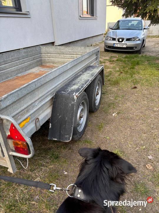Przyczepka Brenderup 2 osiowa DMC 1000 z Kalisz
