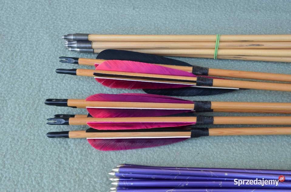 Łuki Łukbis Adam Bisok męski i młodzieżowy Środa Wielkopolska